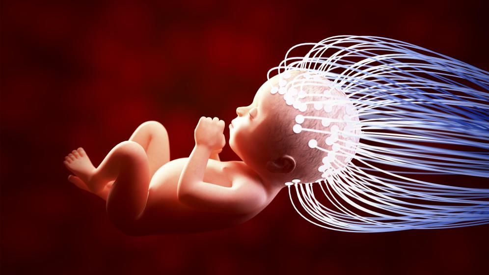 تاثیرات مخرب امواج بر ژنتیک جنین