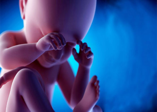 جنین پسر از چند ماهگی شروع به تکان خوردن میکند؟