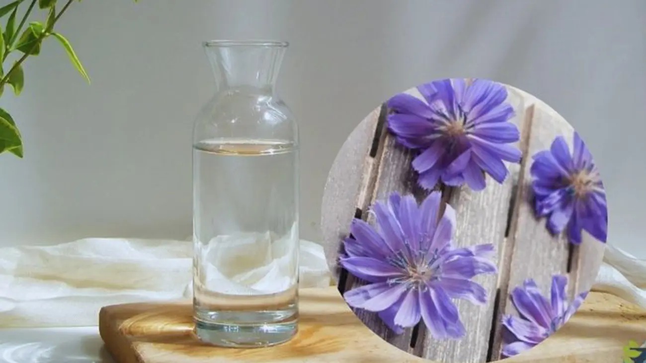 فواید کاسنی در چربی خون