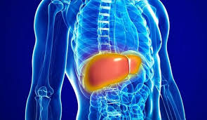 کبد چرب و فریتین بالا