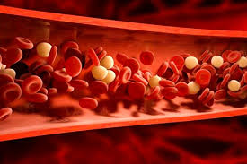 چربی خون و درد دست