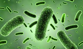 بیماری‌های مقاربتی (STDs) + راه های پیشگیری