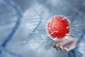 مشکلات ژنتیکی اسپرم