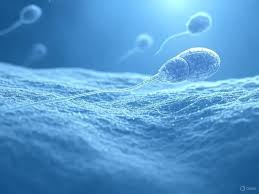 مشکلات ژنتیکی اسپرم